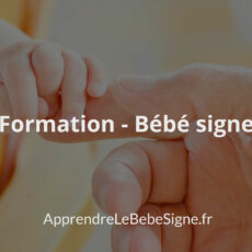 Formation Bébé Signe
